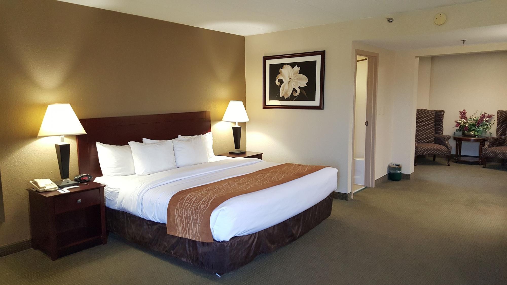 Comfort Inn Northeast Mason Luaran gambar