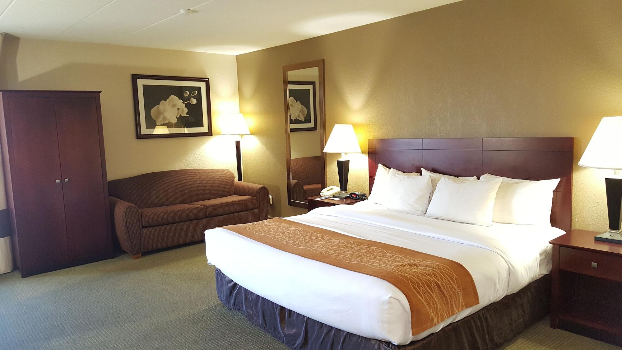 Comfort Inn Northeast Mason Luaran gambar