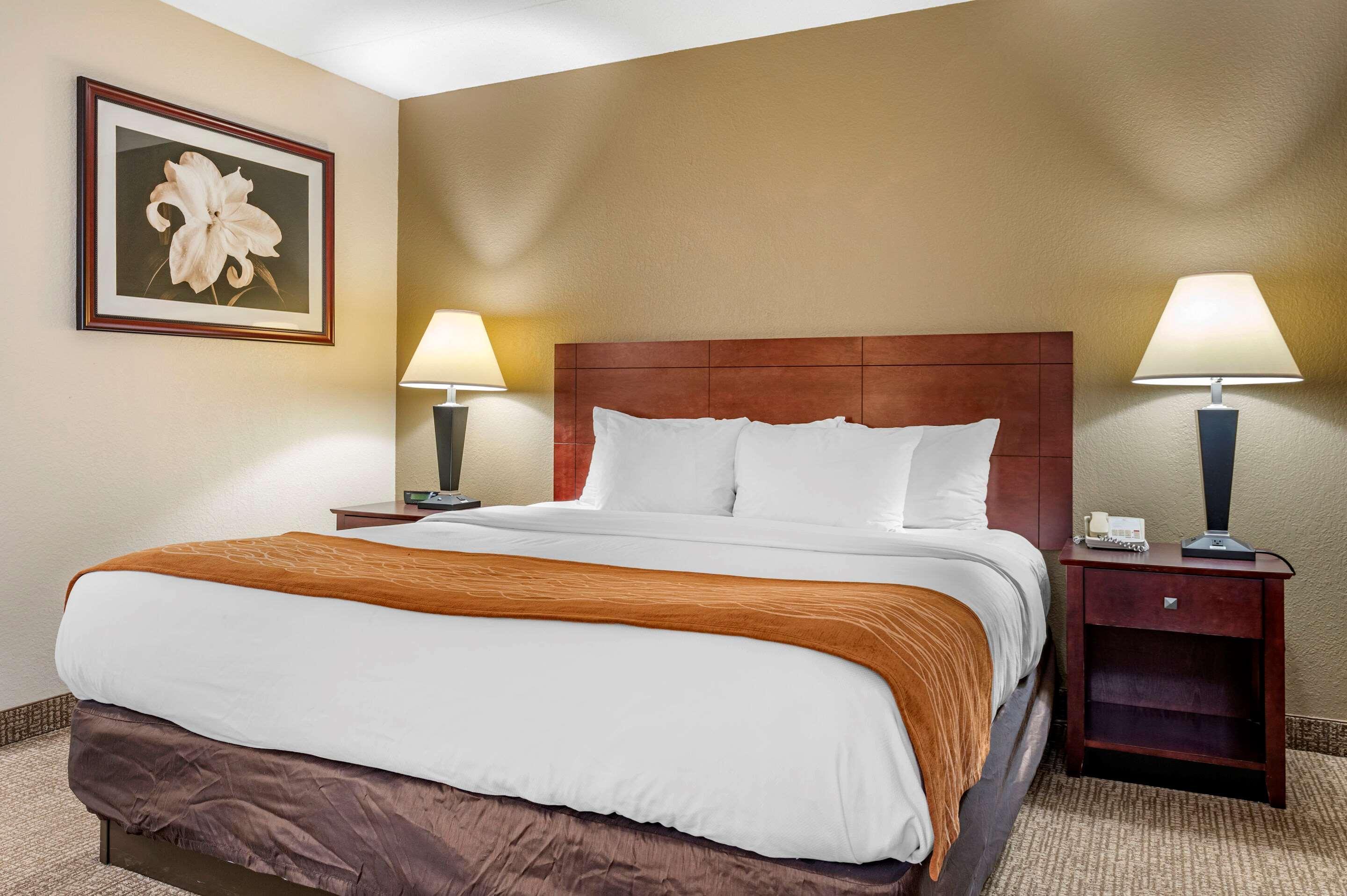 Comfort Inn Northeast Mason Luaran gambar